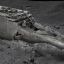 Полное 3D-сканирование показывает, что Титаник полностью разрушен
