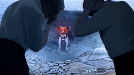 Российские ученые сжимали головы в агонии, когда собака-телепат породы лайка появилась из тлеющего кратера