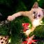 Кошка, цепляющаяся за рождественскую ёлку, признаётся, что это было частью плана