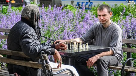 Мужчина начинает подозревать соперника по шахматам, когда все его королевы побеждают его