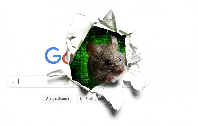 В США страдают от масштабных сбоев веб-сайтов из-за мыши, которая попала в интернет