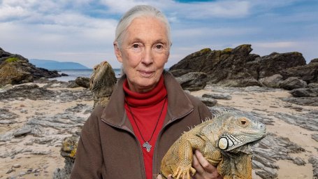 Британский биолог Джейн Гудолл расскажет теперь всё о ящерицах