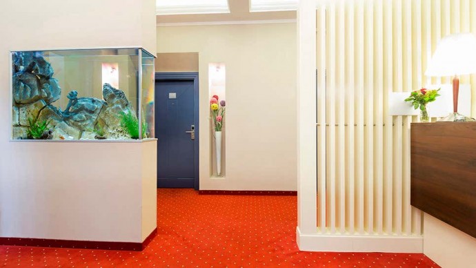 В модном кулере для воды в отеле, плавает рыбка