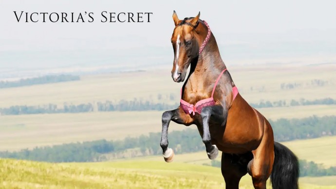 Victoria's Secret приносит извинения за опрометчивую кампанию бодипозитива, в которой лошадь носит бюстгальтер