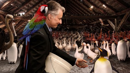 Президент покормил 2,9 млрд пропавших птиц