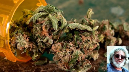 Медицинская марихуана эффективна для лечения длительной боли после смерти Джерри Гарсии