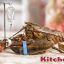 KitchenAid представляет новый набор для умиротворения омаров, чтобы уменьшить жестокость их варки живьем