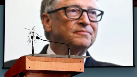 Ученые-комары объявили о планах по уничтожению Билла Гейтса