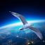 Исследователи подтверждают, что целеустремленная чайка наконец-то добралась до открытого космоса