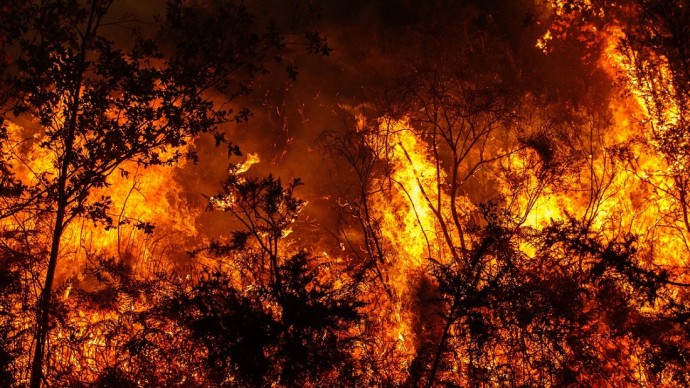 Лесной пожар составляет список мест, которые нужно будет посетить на обратном пути в Калифорнию, следующим летом